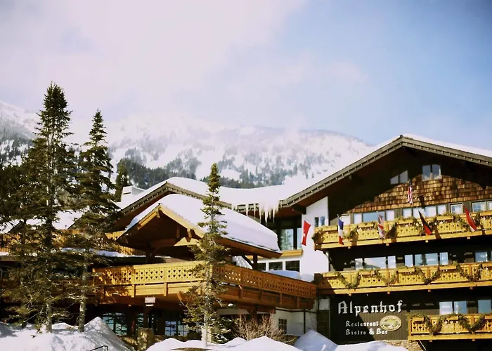 Hotel The Alpenhof 3*
